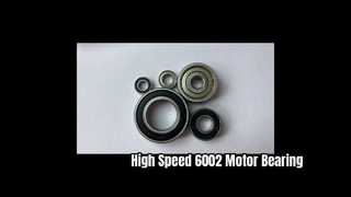 Electric Motor Bearing